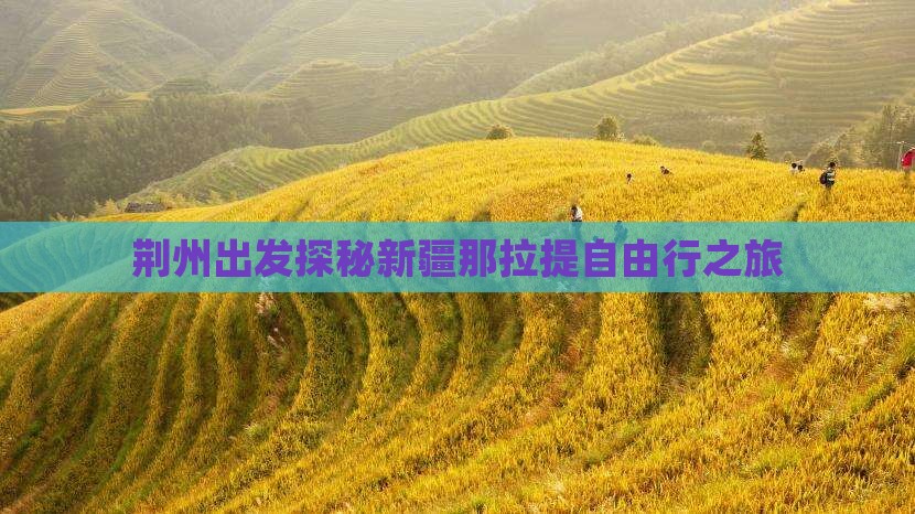 荆州出发探秘新疆那拉提自由行之旅