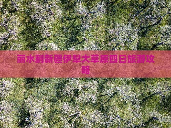 丽水到新疆伊犁大草原四日旅游攻略