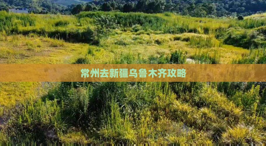 常州去新疆乌鲁木齐攻略