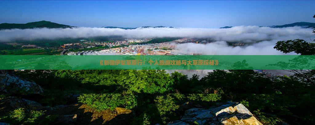 《新疆伊犁草原行：个人旅游攻略与大草原探秘》