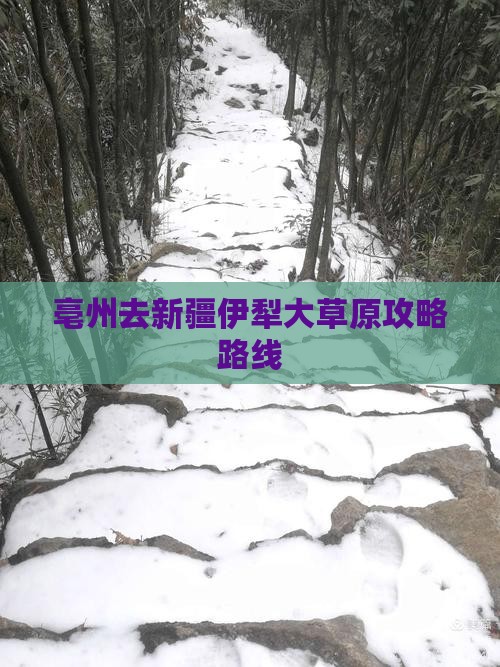 亳州去新疆伊犁大草原攻略路线