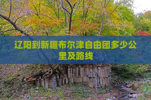 辽阳到新疆布尔津自由团多少公里及路线