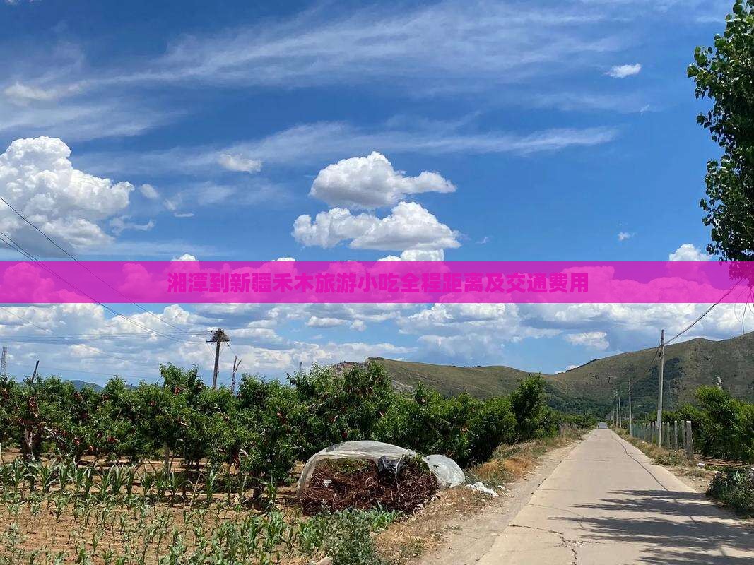 湘潭到新疆禾木旅游小吃全程距离及交通费用