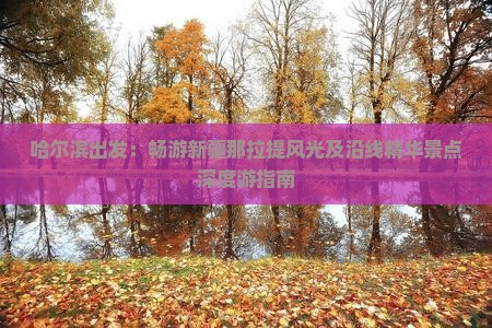 哈尔滨出发：畅游新疆那拉提风光及沿线精华景点深度游指南
