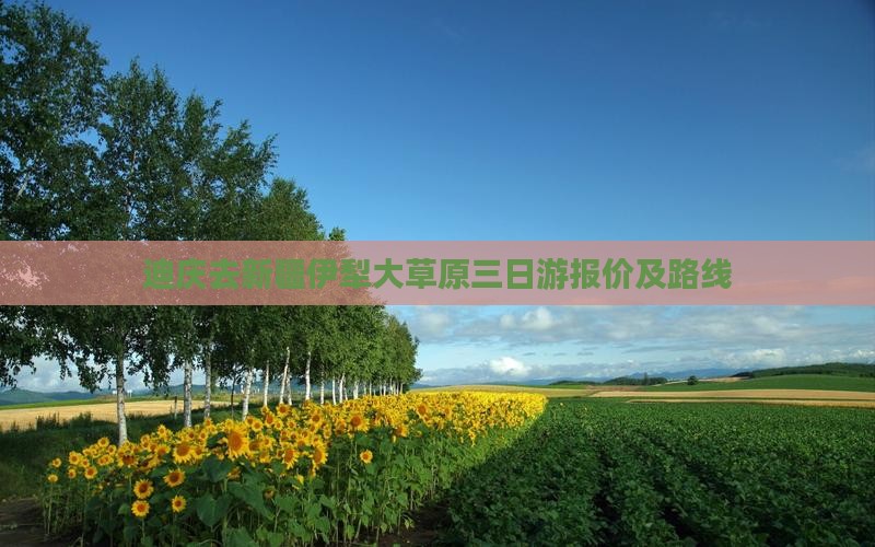 迪庆去新疆伊犁大草原三日游报价及路线