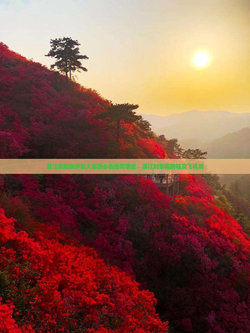 湛江去新疆伊犁大草原必去地有哪些，湛江到新疆路程及飞机票