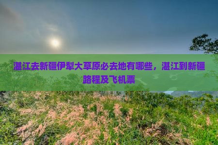 湛江去新疆伊犁大草原必去地有哪些，湛江到新疆路程及飞机票