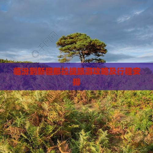 临汾到新疆那拉提旅游攻略及行程安排