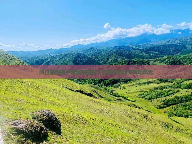 阿拉善盟携手新疆喀纳斯大型旅游团畅游两地风光