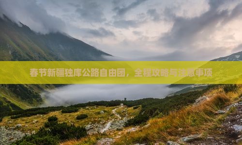 春节新疆独库公路自由团，全程攻略与注意事项
