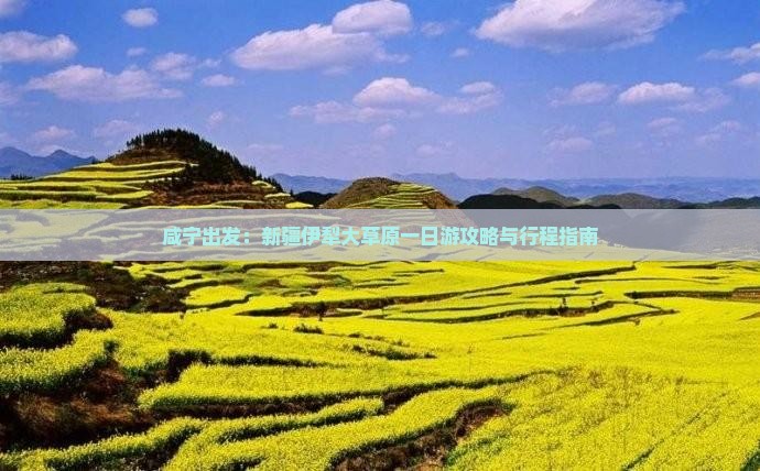 咸宁出发：新疆伊犁大草原一日游攻略与行程指南