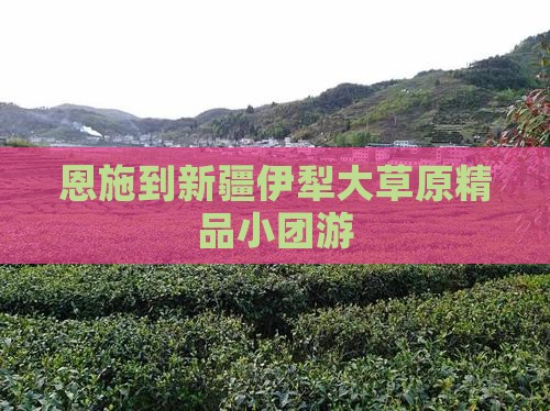 恩施到新疆伊犁大草原精品小团游