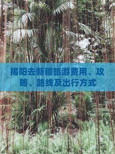 揭阳去新疆旅游费用、攻略、路线及出行方式
