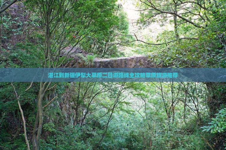 湛江到新疆伊犁大草原二日游路线全攻略草原旅游推荐
