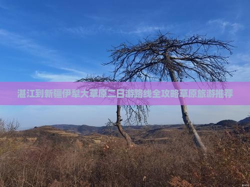 湛江到新疆伊犁大草原二日游路线全攻略草原旅游推荐