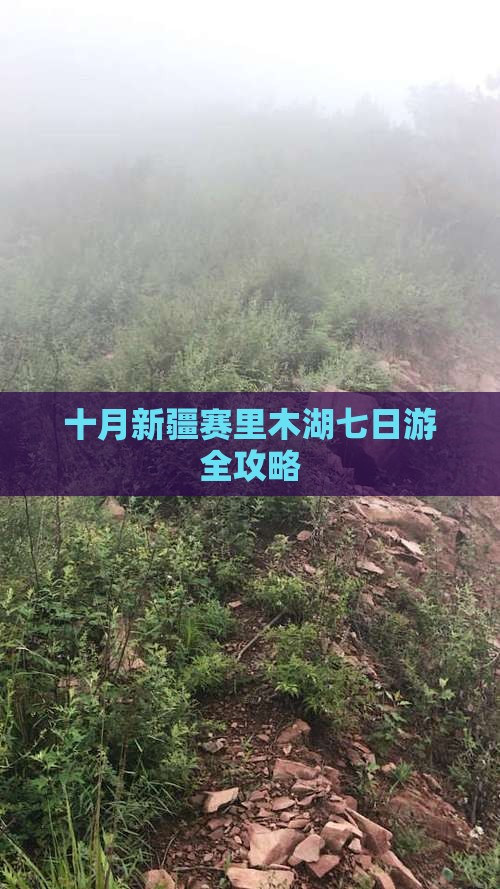十月新疆赛里木湖七日游全攻略