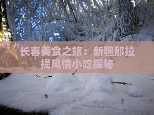 长春美食之旅：新疆那拉提风情小吃探秘