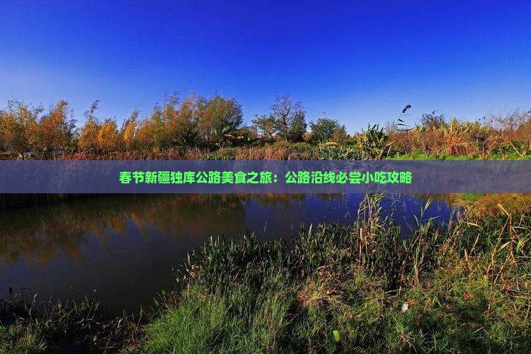 春节新疆独库公路美食之旅：公路沿线必尝小吃攻略