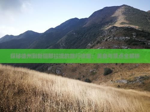 探秘德州到新疆那拉提的旅行攻略：美食与景点全解析