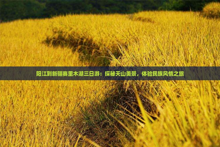 阳江到新疆赛里木湖三日游：探秘天山美景，体验民族风情之旅