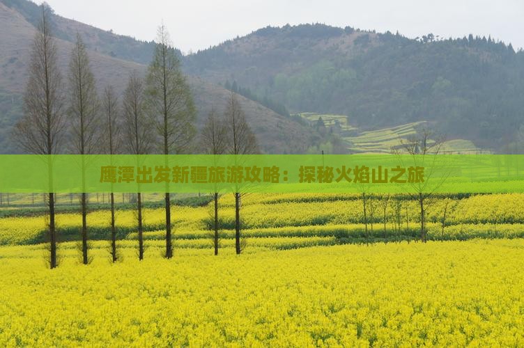 鹰潭出发新疆旅游攻略：探秘火焰山之旅