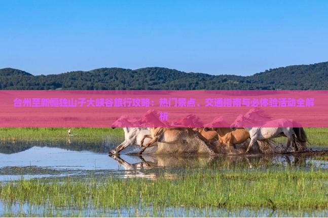 台州至新疆独山子大峡谷旅行攻略：热门景点、交通指南与必体验活动全解析