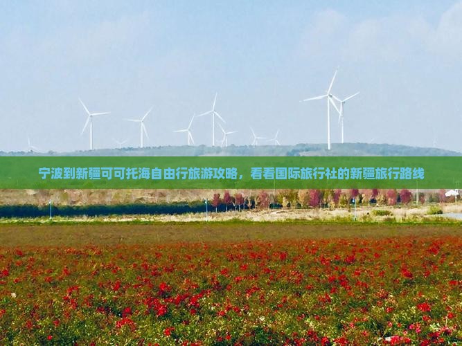 宁波到新疆可可托海自由行旅游攻略，看看国际旅行社的新疆旅行路线