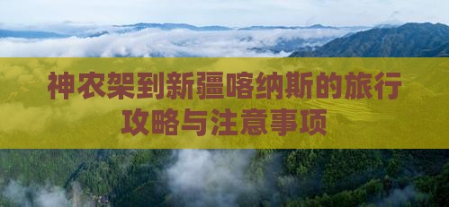 神农架到新疆喀纳斯的旅行攻略与注意事项
