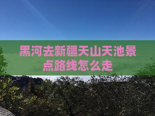 黑河去新疆天山天池景点路线怎么走