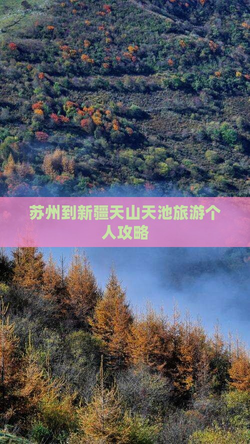 苏州到新疆天山天池旅游个人攻略