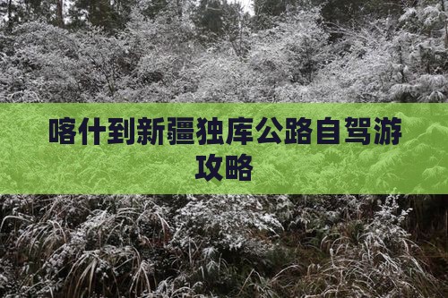 喀什到新疆独库公路自驾游攻略