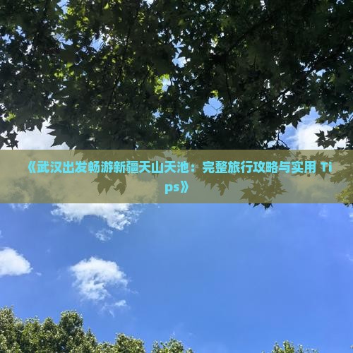 《武汉出发畅游新疆天山天池：完整旅行攻略与实用 Tips》