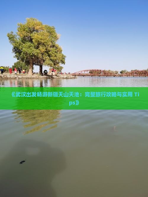 《武汉出发畅游新疆天山天池：完整旅行攻略与实用 Tips》