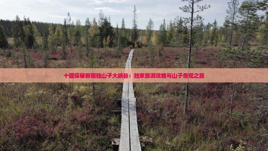十堰探秘新疆独山子大峡谷：独家旅游攻略与山子奇观之旅