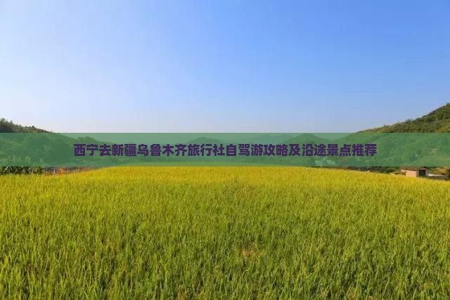 西宁去新疆乌鲁木齐旅行社自驾游攻略及沿途景点推荐
