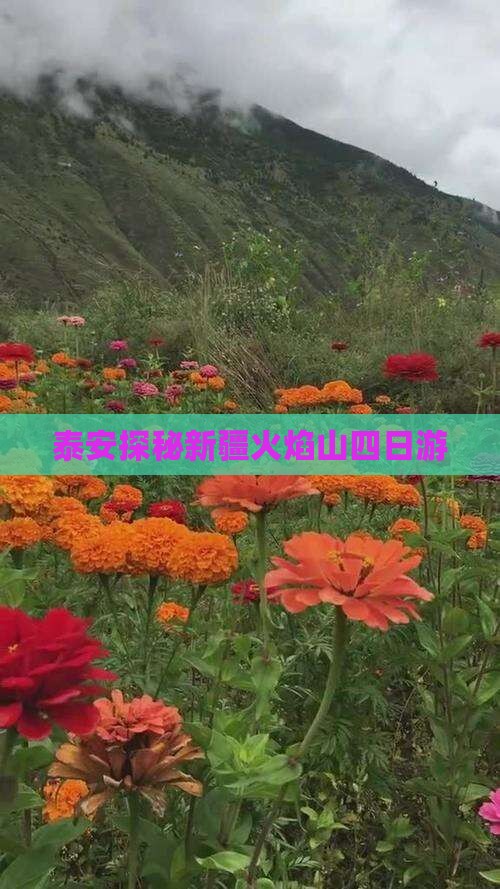 泰安探秘新疆火焰山四日游