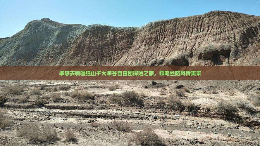 孝感去新疆独山子大峡谷自由团探险之旅，领略丝路风情美景