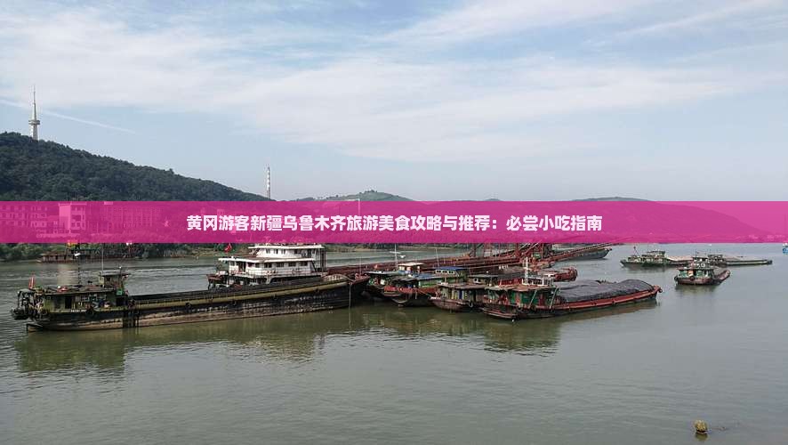 黄冈游客新疆乌鲁木齐旅游美食攻略与推荐：必尝小吃指南