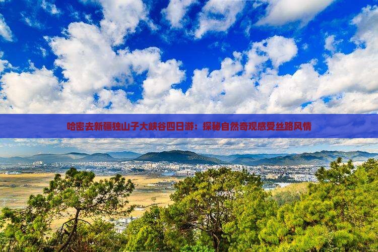 哈密去新疆独山子大峡谷四日游：探秘自然奇观感受丝路风情