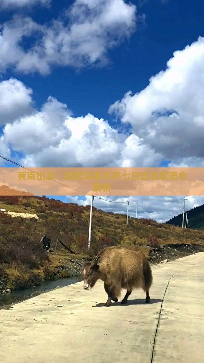黄南出发：新疆乌鲁木齐七日旅游攻略全解析