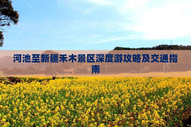 河池至新疆禾木景区深度游攻略及交通指南