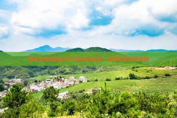 海东去新疆独山子大峡谷自由团：探索壮丽自然景观