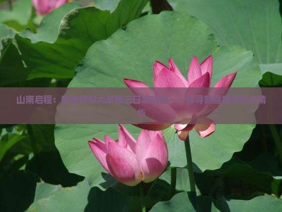 山南启程：新疆伊犁大草原三日游攻略——探寻新疆旅游景点精华