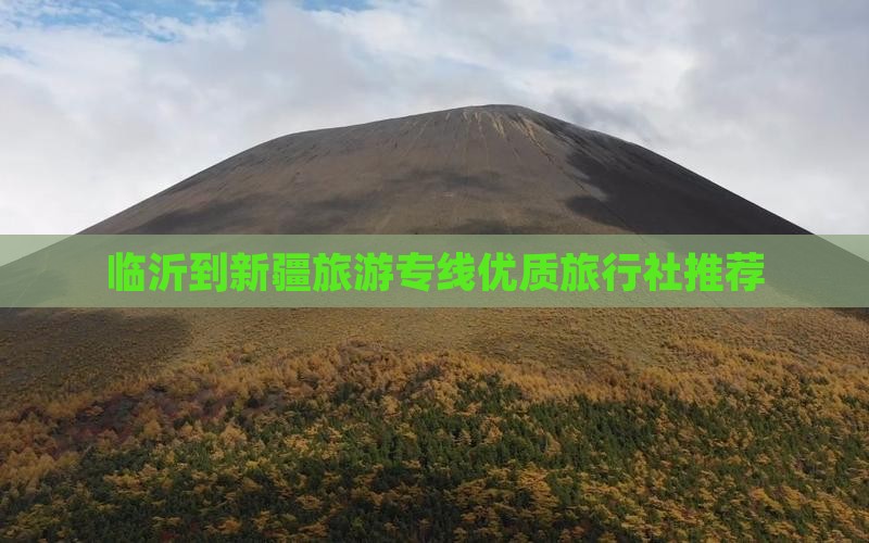 临沂到新疆旅游专线优质旅行社推荐