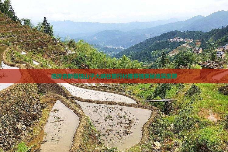 临沂去新疆独山子大峡谷旅行社推荐独家秘境深度游