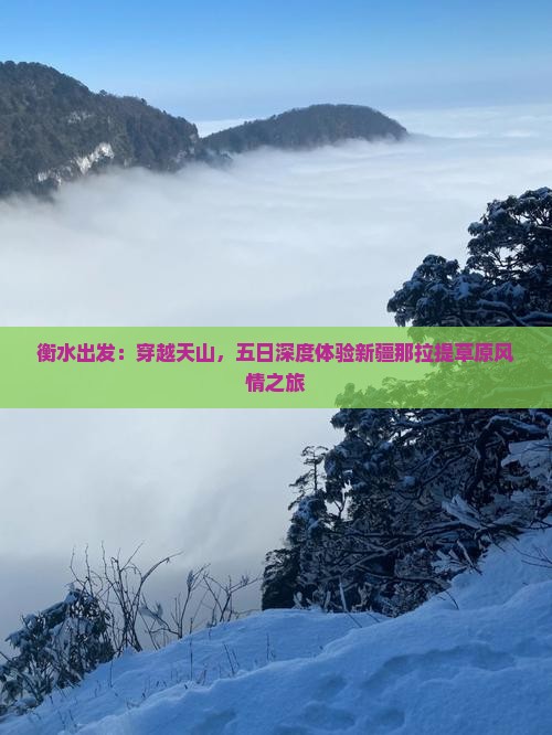 衡水出发：穿越天山，五日深度体验新疆那拉提草原风情之旅