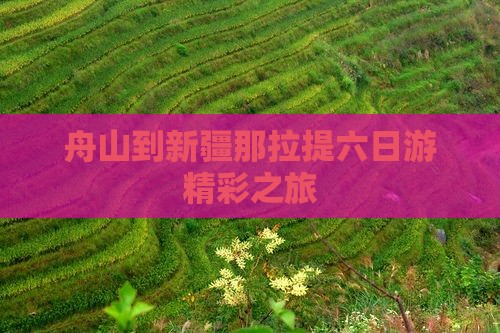 舟山到新疆那拉提六日游精彩之旅
