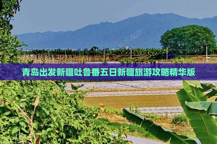 青岛出发新疆吐鲁番五日新疆旅游攻略精华版