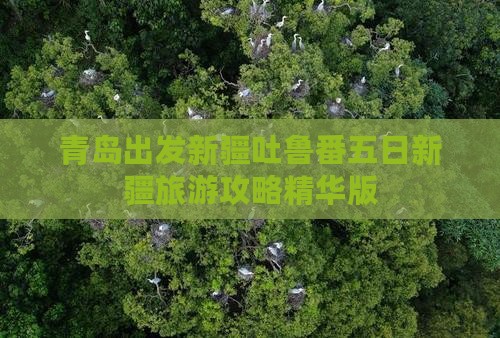 青岛出发新疆吐鲁番五日新疆旅游攻略精华版