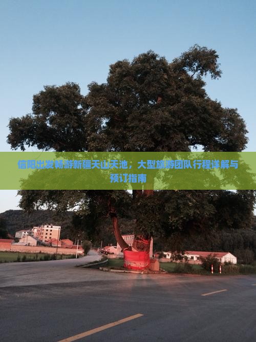 信阳出发畅游新疆天山天池，大型旅游团队行程详解与预订指南